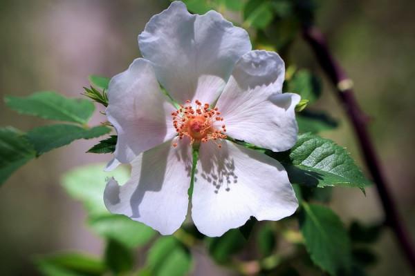 雙子座1.19-23周運勢,開心又自在,做自己喜歡的事,會很有幹勁 雙子座1.19-23周運勢,開心又自在,做自己喜歡的事,會很有幹勁