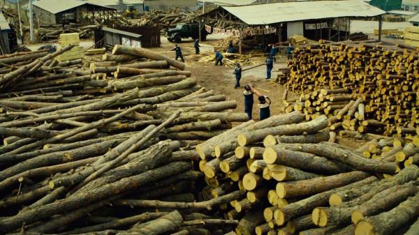 央視《人世間》未播先火，演員陣容強大，2022開年大劇要來了