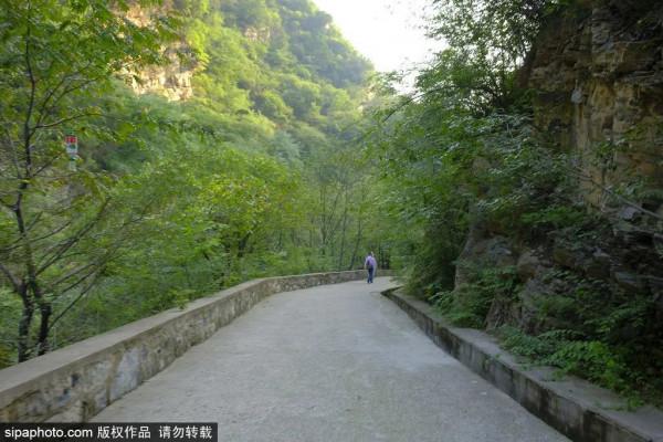 足足20家！北京最美秋色都在這裡了！不用人擠人！