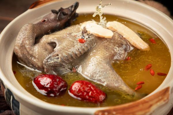 減肥食物選擇——烏雞更有營養嗎 減肥食物選擇——烏雞更有營養嗎