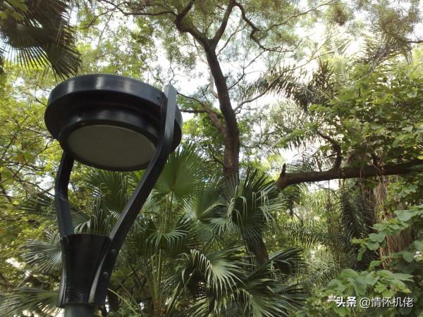 回顧諾基亞N95:當年高貴的機皇 回顧諾基亞N95:當年高貴的機皇