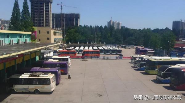 感人丨揹著母親回鄉，她上演了真實版的落葉歸根