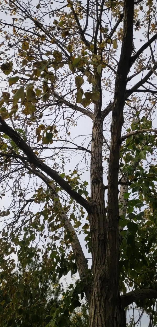 拯救宇宙不是隨便一個人都有機會的 拯救宇宙不是隨便一個人都有機會的