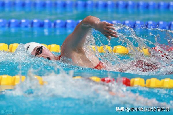乾貨 | 自由泳手臂划水技巧，如何提高划水？