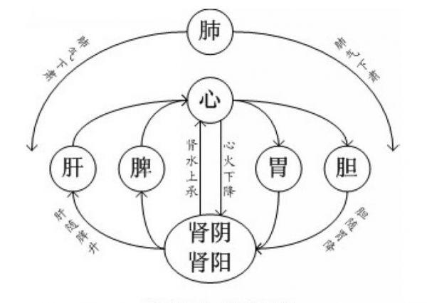 一張人體氣機升降圖，簡單看懂中醫“圓圈理論”