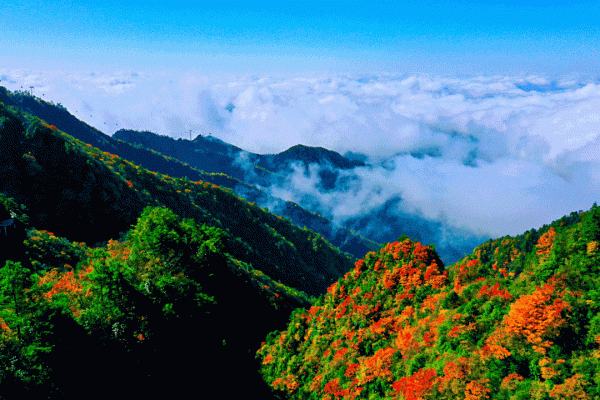 四川第三期紅葉觀賞指數釋出!不出家門,帶你雲遊這些動人風景 四川第三期紅葉觀賞指數釋出!不出家門,帶你雲遊這些動人風景