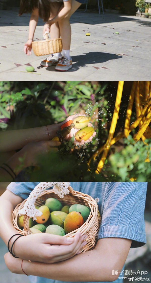 還記得被“禁止整容”的小羋月嗎？如今11歲成小女神了？