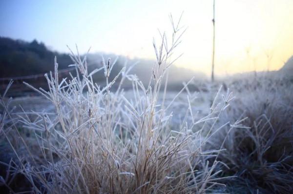 山明水淨夜來霜。兩首霜降時節秋詞,明快而勵志,值得品讀 山明水淨夜來霜。兩首霜降時節秋詞,明快而勵志,值得品讀