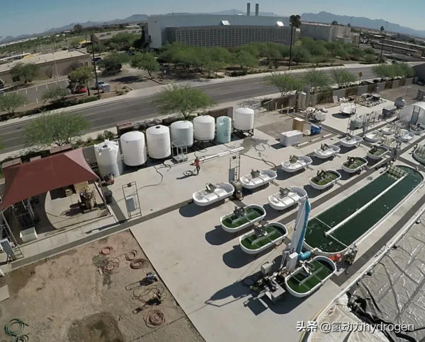 減碳養藻？汙水廠碳中和轉型新出路