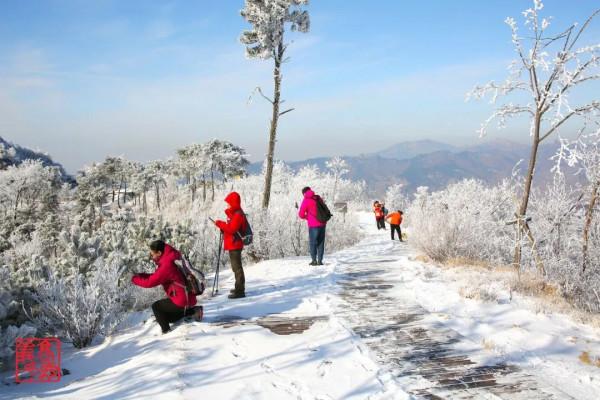 冰雪仙境，看天蒙山玉樹瓊花