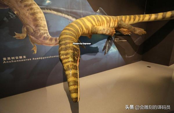 你吃過魚,但你見過“魚龍”嗎?就在我國貴州曾經就是魚龍的天堂 你吃過魚,但你見過“魚龍”嗎?就在我國貴州曾經就是魚龍的天堂