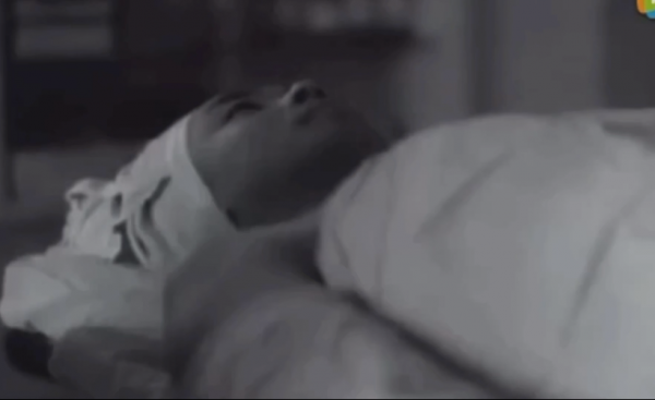 金星：4年領養3個孩子，因孩子和丈夫離婚，苦盡甘來無遺憾