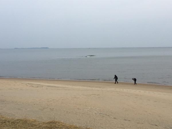 海景公路徒步記——乳山銀灘旅居日誌20220128 海景公路徒步記——乳山銀灘旅居日誌20220128