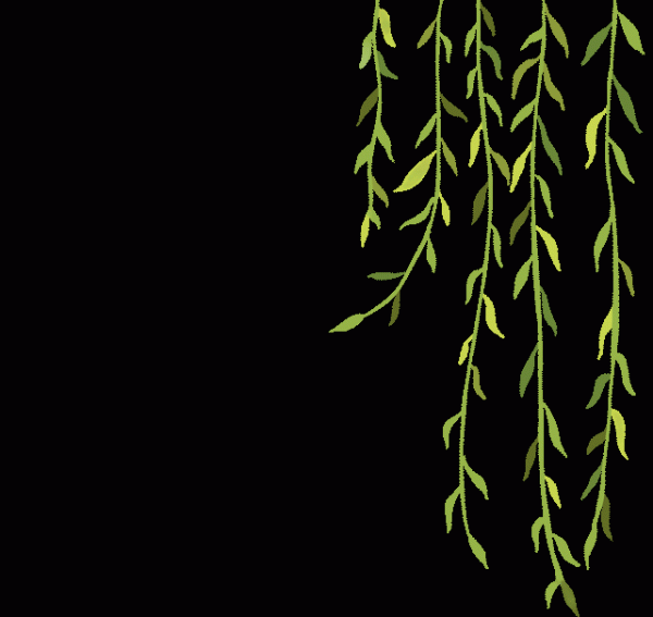 二十四節氣 | 好雨時節、潤物無聲