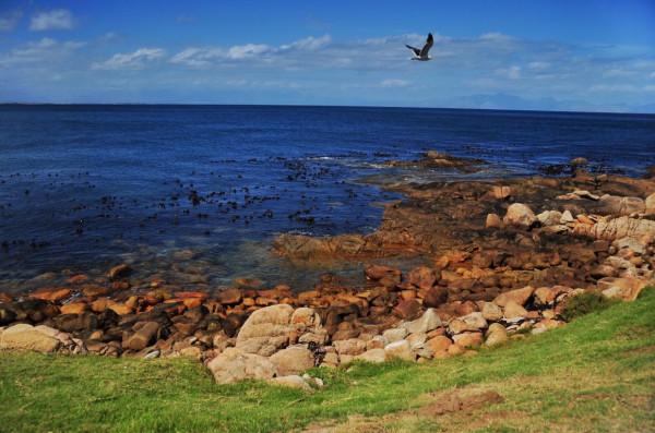 那個遙不可及的好望角，為什麼原來叫“風暴角”？它究竟在哪裡