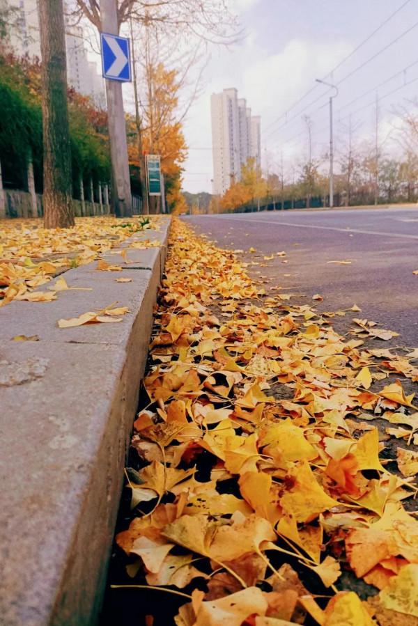 溫暖詩歌｜11首立冬的詩，讓詩溫暖你