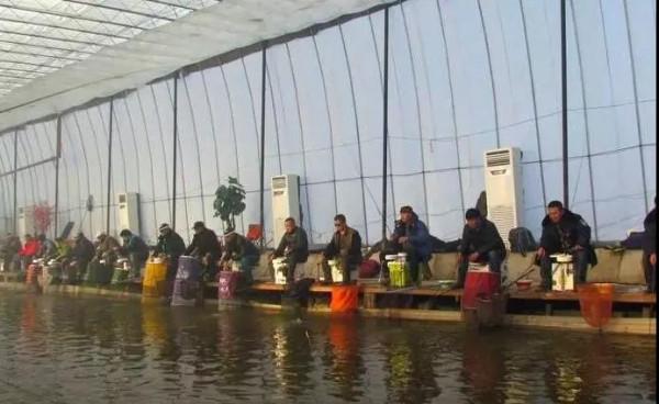 北方冬季釣大棚黑坑全攻略，用這3招釣魚，一打一個準，爆護不難