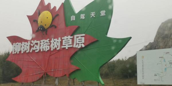 柳樹溝，碰上了下雨，灰濛濛的景色