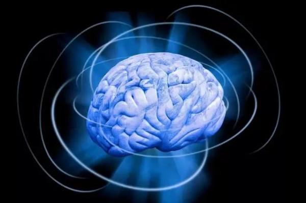 《未知世界》外星人如何看待疾病和死亡的概念？