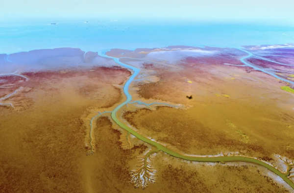 第一站,黃河入海口! 第一站,黃河入海口!