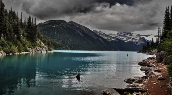 看似孤獨,但活出了幸福的星座,不喜歡攀比,反而喜歡順其自然 看似孤獨,但活出了幸福的星座,不喜歡攀比,反而喜歡順其自然