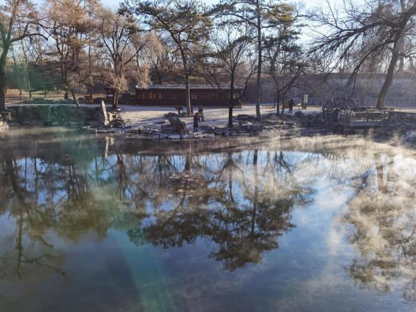 熱河泉邊看天鵝