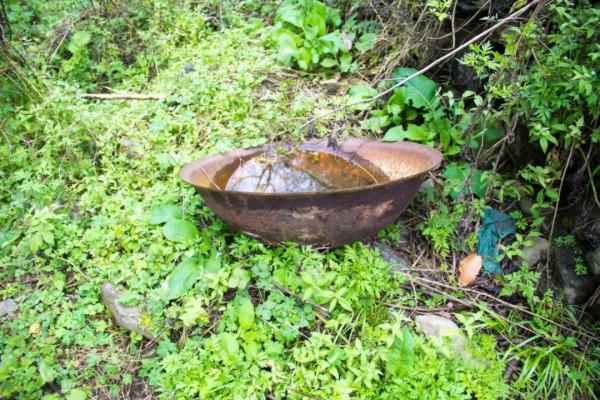 秦嶺紅巖溝中,像這樣無人居住的老房子不止一處,實際上到處都是 秦嶺紅巖溝中,像這樣無人居住的老房子不止一處,實際上到處都是