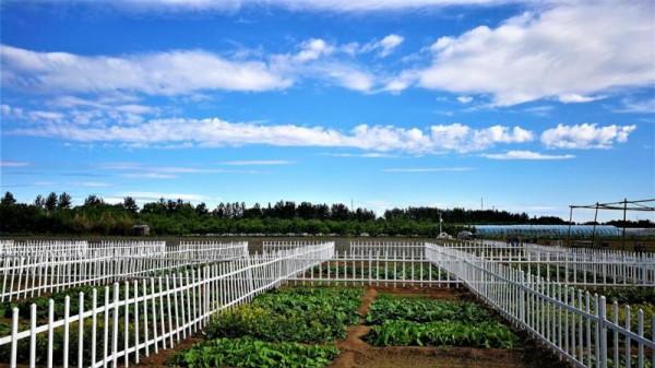 大興丨經濟生態齊飛 打造鄉村振興的“禮賢樣板”