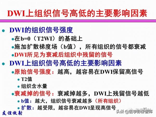 臨床MRI訊號分析基礎：常規序列及DWI序列