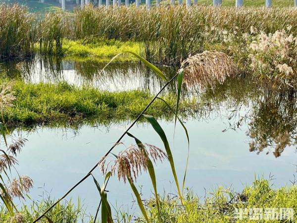 秋染白沙河 遨遊在畫中