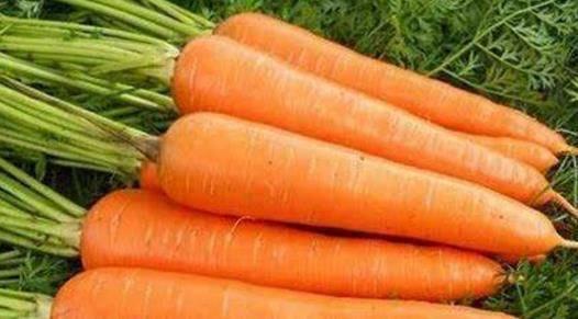 中年人都在吃四種食物，排毒養顏、延緩衰老，有益健康