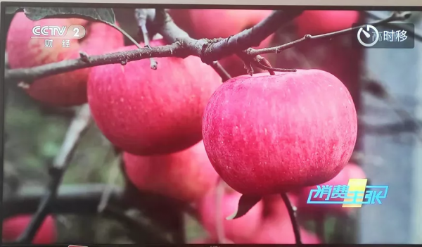 紅富士蘋果今年不好賣？那什麼樣的蘋果更好賣？
