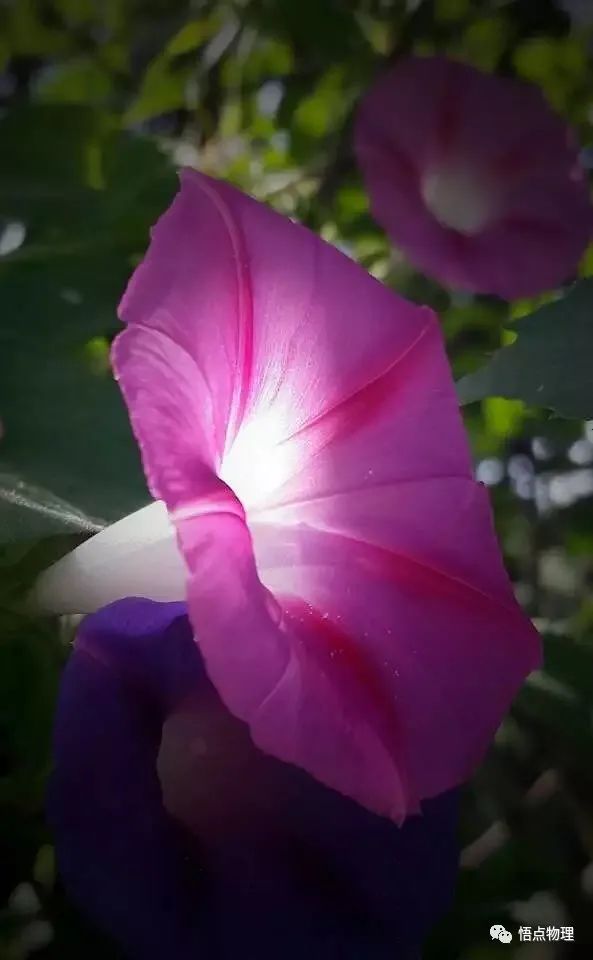 假如沒有“保險”