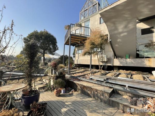 綠色背景牆的角落，聞著番木瓜花的香味賞月啦 | 園丁