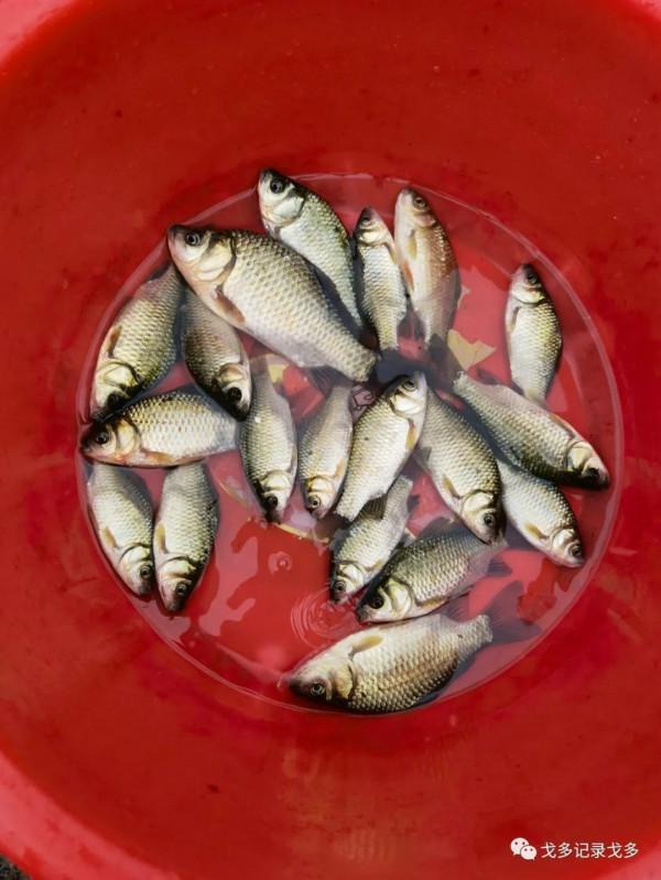 快樂遊釣遇見野猴,一路上意外多多,驚喜不斷 快樂遊釣遇見野猴,一路上意外多多,驚喜不斷