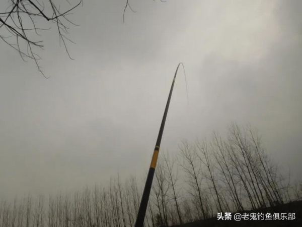 立春後，爽釣小河