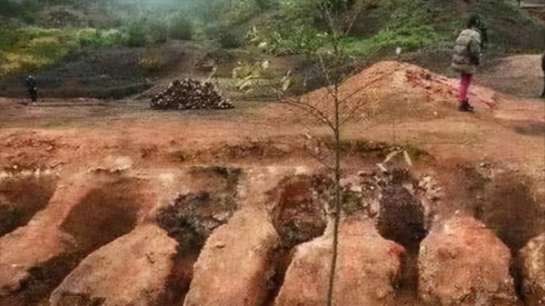 陝西發現古代墓葬群，出土17座大型古墓，墓中景象讓人揪心