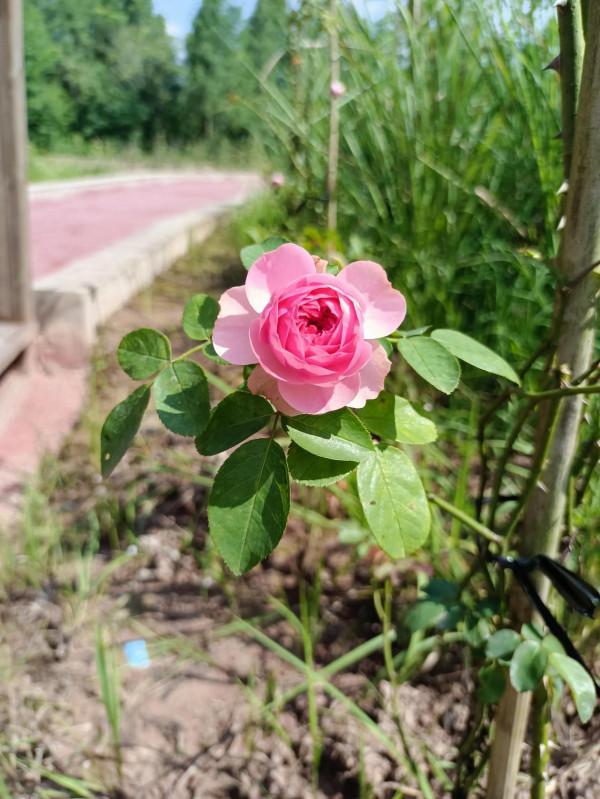 你知道四川盆地的盆底在哪嗎? 你知道四川盆地的盆底在哪嗎?