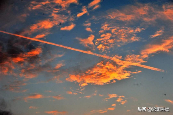 不可思議！已是深秋，月兒灣公園卻如此多彩，恰似夏日還未走遠