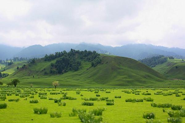 新疆一個“超大”景區，面積堪比一個城市，裡面卻不允許開車
