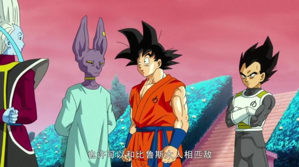 貓在家中坐,實力從天降:來說說比魯斯的坐地升級 貓在家中坐,實力從天降:來說說比魯斯的坐地升級