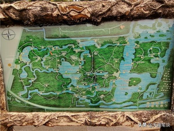 塘沽免費公園值得遊，順其自然地體驗，領略不一樣風景