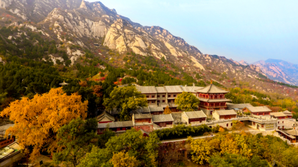 鳳凰嶺彩葉進入最佳觀賞期