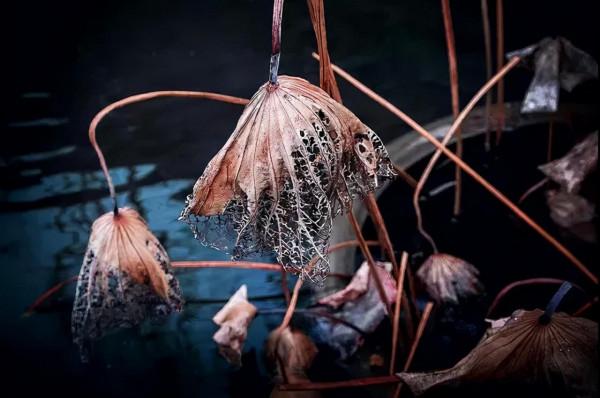 杜甫一首秋天的詩,字句皆律,譽為“古今七言律第一” 杜甫一首秋天的詩,字句皆律,譽為“古今七言律第一”