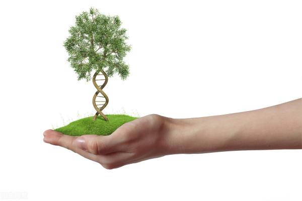 10歲女童身高已165釐米,專家評論:這習慣不錯,值得家長借鑑 10歲女童身高已165釐米,專家評論:這習慣不錯,值得家長借鑑