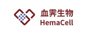 2021年剛成立，這12家創新藥研發公司有何特色？