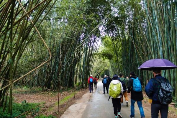 古水河徒步攻略｜當天來回-久在樊籠裡，復得返自然