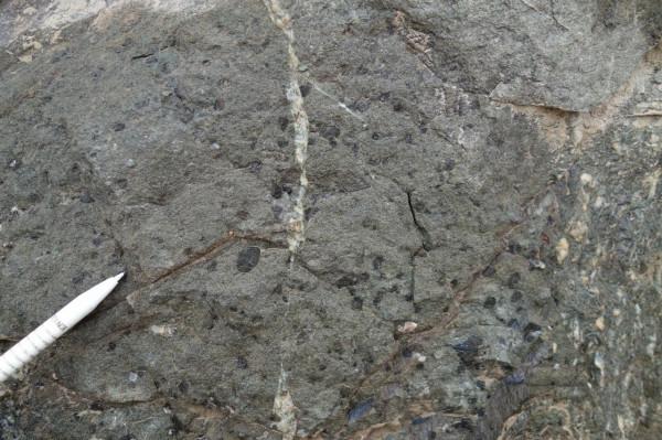 石頭居然長“痘痘”啦