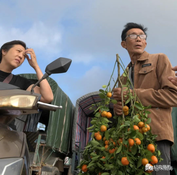 吳鍾飛：臘月漁鄉港北