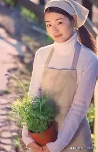 《薰衣草》從冷漠到深情,對以薰至死不渝的愛,是晴川最大的成長 《薰衣草》從冷漠到深情,對以薰至死不渝的愛,是晴川最大的成長